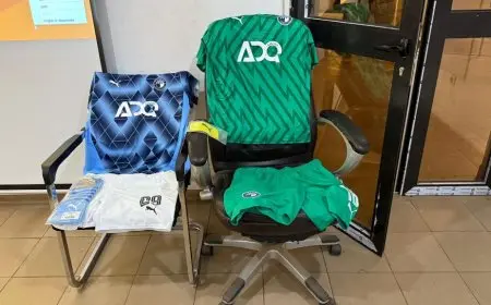 تفاصيل الاجتماع الفني لمباراة بيراميدز ودجوليبا بدوري الأبطال