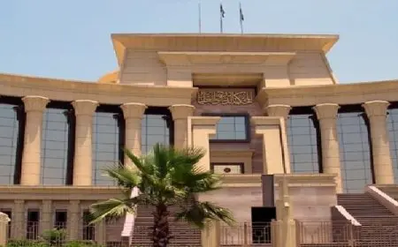 حكم بعدم دستورية تحميل المواطنين ضريبة على توريد الكهرباء والتمييز بينهم على أساس جغرافي