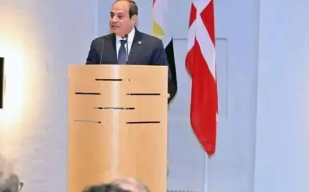 الرئيس السيسي يلتقي برئيسة الوزراء الدنماركية