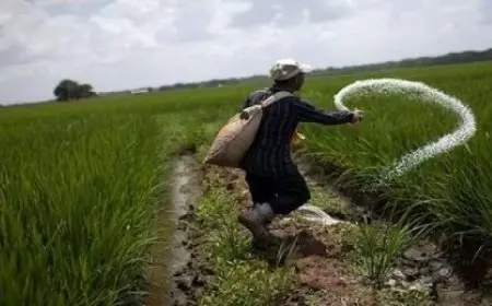 طلب إحاطة لوزير الزراعة بشأن نقص الأسمدة بالجمعيات الزراعية