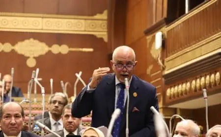 النائب حازم الجندي: جولة الرئيس السيسي الأوروبية تعزز حضور مصر الدولي وتعمق الشراكات الإستراتيجية