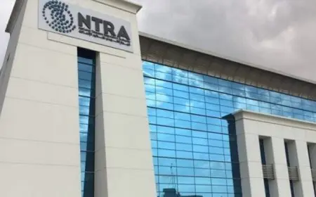 “فيتش سوليوشنز” تتوقع نموًا كبيرًا فى سوق الاتصالات المصرى بحلول 2025