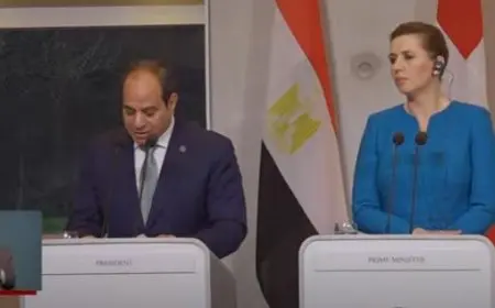 الرئيس السيسي يؤكد أهمية تضافر الجهود لمنع انزلاق المنطقة إلى مواجهة إقليمية واسعة النطاق