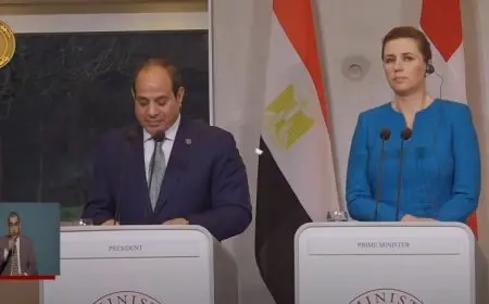 الرئيس السيسي: مصر والدنمارك حريصتان على الارتقاء بالعلاقات الثنائية في مختلف المجالات