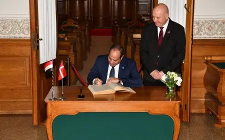 طارق فهمي: زيارة الرئيس السيسي للدنمارك تُدشن مرحلة جديدة من العلاقات الثنائية