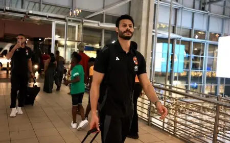 بعثة الأهلي تغادر جوهانسبرج إلى القاهرة