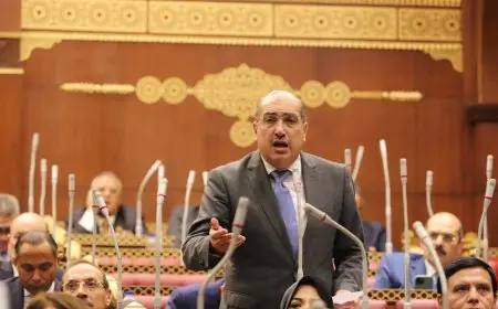 النائب إيهاب وهبة: لا يجب المساواة في التقنين بين الأراضي على النيل والأراضي الصحراوية