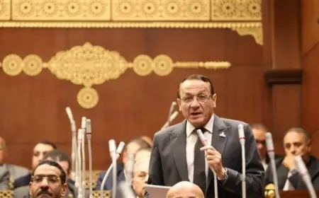 رئيس برلمانية حماة الوطن بالشيوخ: مشروع قانون التصرف بأملاك الدولة ينظم تقنين وضع اليد