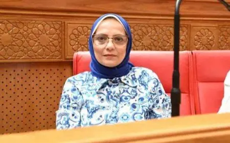 النائبة نجلاء العسيلي تحذر من تصاعد الصراعات في الدول العربية: مصر بقيادتها الحكيمة هدفها الحفاظ على أمنها القومي