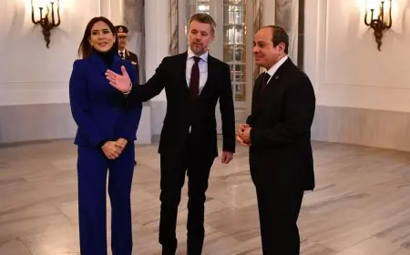 الرئيس السيسي يغادر الدنمارك بعد ختام زيارته.. صور