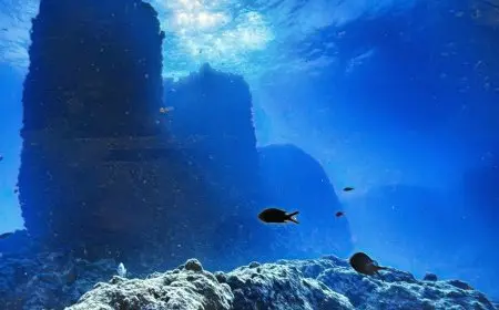 وزارة السياحة: اكتشافات جديدة بمعبد تابوزيريس ماجنا غرب الإسكندرية