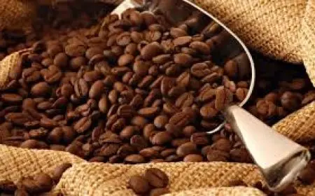 مجدي نزيه ينصح بشراء البن والقرفة والكمون بكميات قليلة لهذا السبب