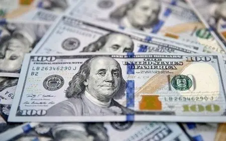 سعر الدولار مقابل الجنيه اليوم الإثنين 9 ديسمبر 2024 في البنوك