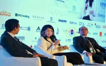 وزيرة التخطيط والتعاون: القطاع الخاص حصل على 12 مليار دولار من شركاء التنمية في آخر 4 سنوات