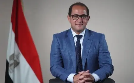 وزير المالية: الأداء الاقتصادي والمالي يسير بشكل جيد رغم التحديات