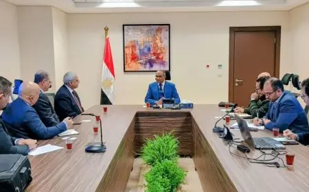 لبحث أوجه التعاون.. نائب وزير الإسكان يلتقي ممثلي التحالفات العالمية المتخصصة في تنفيذ وتشغيل مشروعات المرافق