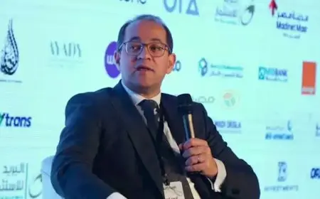 وزير المالية: الإعلان عن استراتيجية خفض المديونية الحكومية خلال الربع الأول من 2025