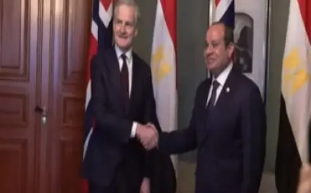 رئيس الوزراء النرويجي يستقبل الرئيس السيسي