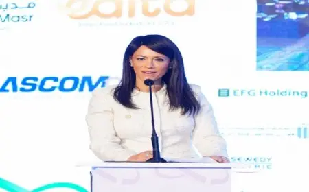 المشاط : تطبيق منهجية عمل جديدة في إعداد خطة التنمية الاقتصادية والاجتماعية للعام المالي القادم