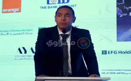 نائب رئيس هيئة الرقابة المالية: التمويل الممنوح من الجهات الخاضعة للهيئة بلغ 646.6 مليار جنيه في 9 أشهر