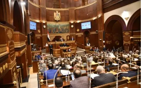 مجلس الشيوخ يوافق نهائيا على مشروع قانون بعض قواعد وإجراءات التصرف في أملاك الدولة الخاصة