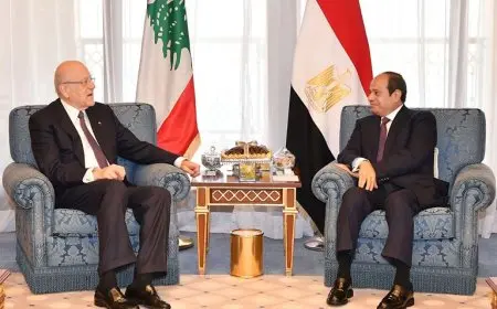 ميقاتي يتلقى دعوة من الرئيس السيسي للمشاركة في أعمال قمة منظمة الدول الثماني النامية للتعاون الاقتصادي