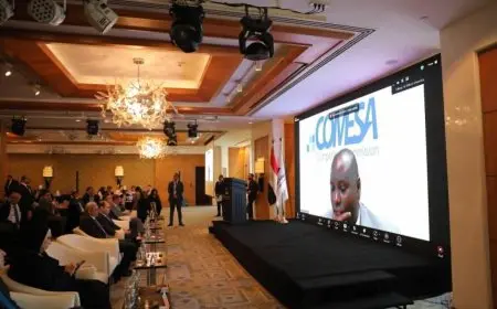 الكوميسا: مصر من أبرز الدول الأعضاء التي تبنت سياسات فعالة لمكافحة الممارسات الاحتكارية