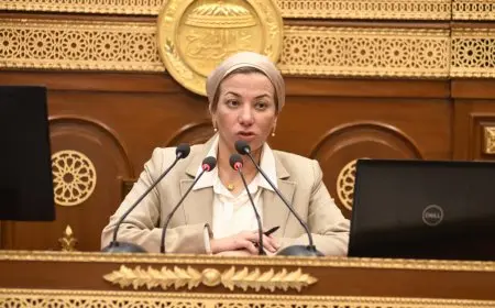 وزيرة البيئة تكشف عدد الشركات المرخص لها في مجال جمع وتدوير القمامة