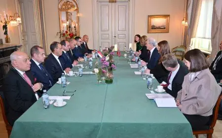 الرئيس السيسي يشدد على ضرورة تعزيز العلاقات مع النرويج في كل المجالات