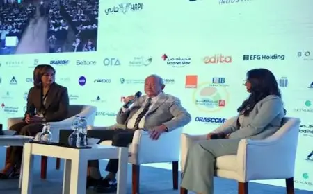 نجيب ساويرس يحدد: متى نقلق من ارتفاع سعر الدولار؟