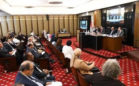 النائب أحمد عبد الماجد: قانون المسئولية الطبية يحتاج بعض التعديلات.. وقد يكون سببا لتزايد ظاهرة هجرة الأطباء