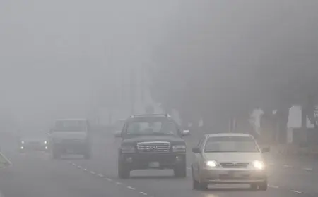 الأرصاد توجه تحذيرًا المواطنين بسبب الشبورة المائية خلال الأيام المقبلة