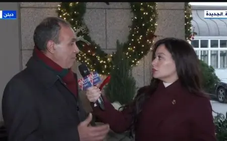 وزير الخارجية: الملف الفلسطيني والاستثمارات على رأس أجندة زيارة السيسي إلى أيرلندا