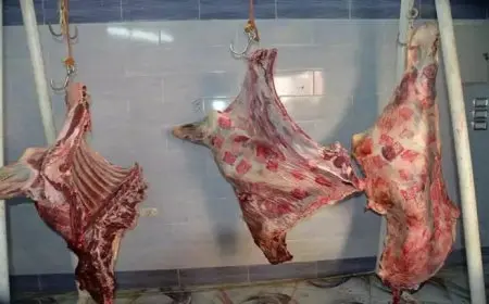 انخفاض اللحوم والزيت وارتفاع الجبن واللبن.. أسعار السلع الأساسية اليوم الأربعاء في الأسواق (موقع رسمي)