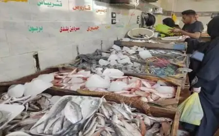 أسعار الأسماك والمأكولات البحرية اليوم الأربعاء في سوق العبور