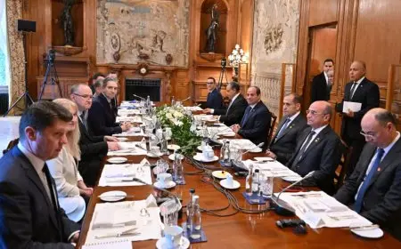 السيسي ورئيس الوزراء الأيرلندي يشددان على توسيع الاعتراف بالدولة الفلسطينية