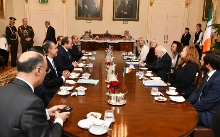 السيسي ورئيس أيرلندا يبحثان الأوضاع في منطقة الشرق الأوسط والدور المصري في الوساطة لوقف إطلاق النار في غزة