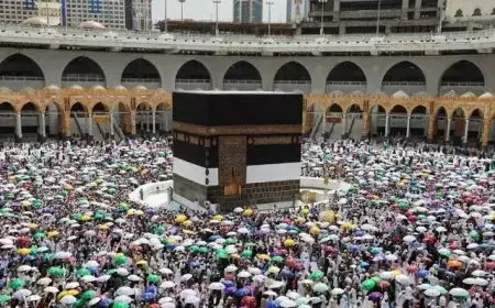 غرفة شركات السياحة: التأكيد على السفر لأداء الحج بالطرق الرسمية يحفظ حقوق المواطن ويصون سلامته