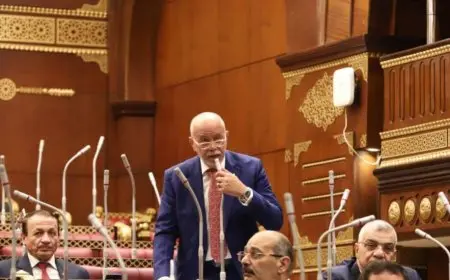 النائب حازم الجندي: الوحدة الوطنية ضرورة لمواجهة التحديات.. ومصر تسعى لإنهاء الصراعات الإقليمية وحماية الأمن العربي