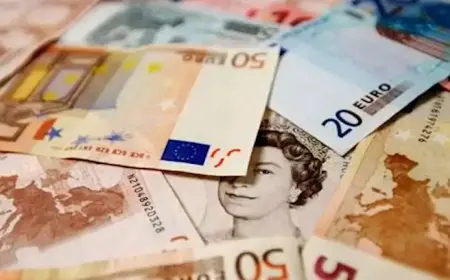 سعر اليورو اليوم في البنوك مقابل الجنيه المصري وداخل تعاملات السوق السوداء الاحد 29 ديسمبر 2024