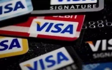 فيزا توفر خدمة “Apple Pay” لعملائها في مصر: طريقة آمنة لـ4 أجهزة