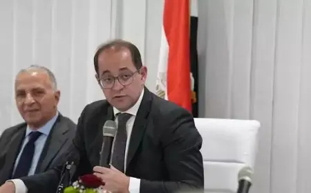 وزير المالية: إصلاحات وتيسيرات ضريبية وجمركية جديدة خلال 6 أشهر المقبلة