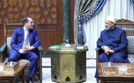 شيخ الأزهر يستقبل وزير المالية بمشيخة الأزهر