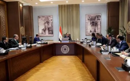 الحكومة: 19717 حالة من المخالفين لإجراءات استيراد سيارات ذوي الهمم تقدموا لتوفيق أوضاعهم طواعية