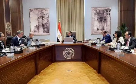 مدبولي: نعمل على استدامة واستقرار التغذية الكهربائية على مستوى الجمهورية