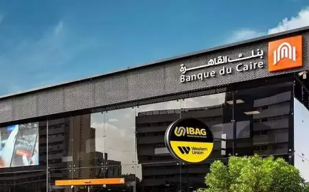 بنك القاهرة يتيح فتح الحسابات وإصدار البطاقات مجانا بمناسبة مشاركته في اليوم العالمي لذوي الهمم