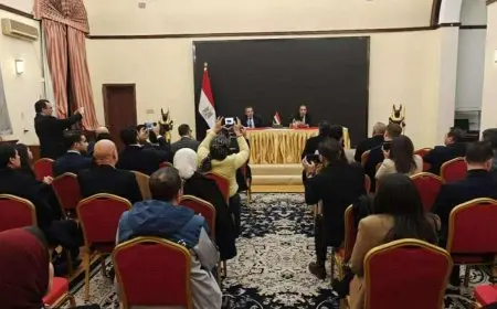 وزير الخارجية: نعكف حاليا على الارتقاء بآليات ووسائل تقديم الخدمات القنصلية