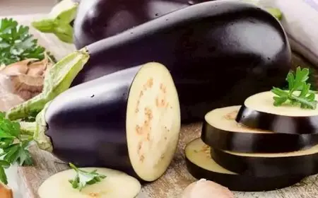 ارتفاع الباذنجان والليمون.. أسعار الخضراوات والفاكهة في سوق العبور اليوم