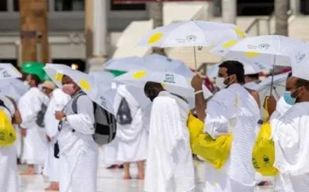 غرفة شركات السياحة: طرحنا برامج حج اقتصادية تبدأ من 250 ألف جنيه للتخفيف على المواطنين