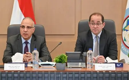 وزيرا الرى والمالية يبحثان التنسيق المشترك فى العديد من الملفات